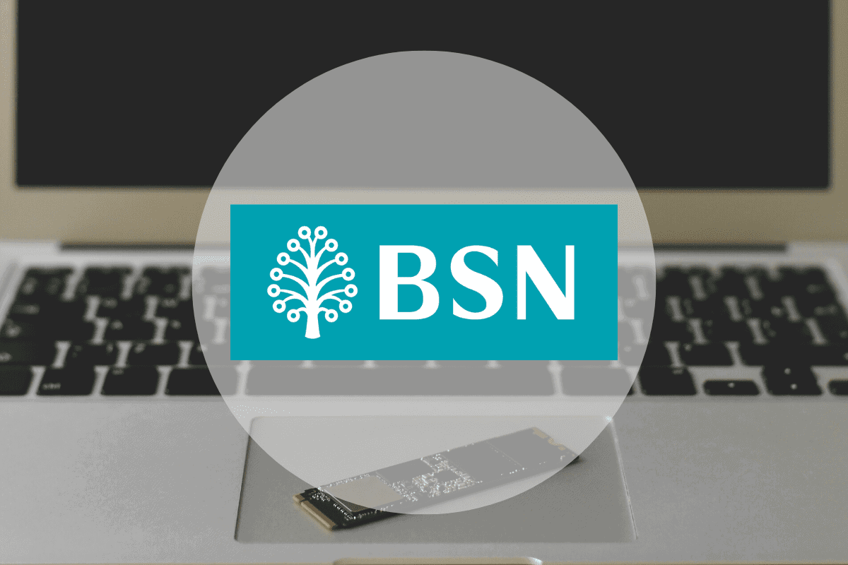 Cara print statement BSN